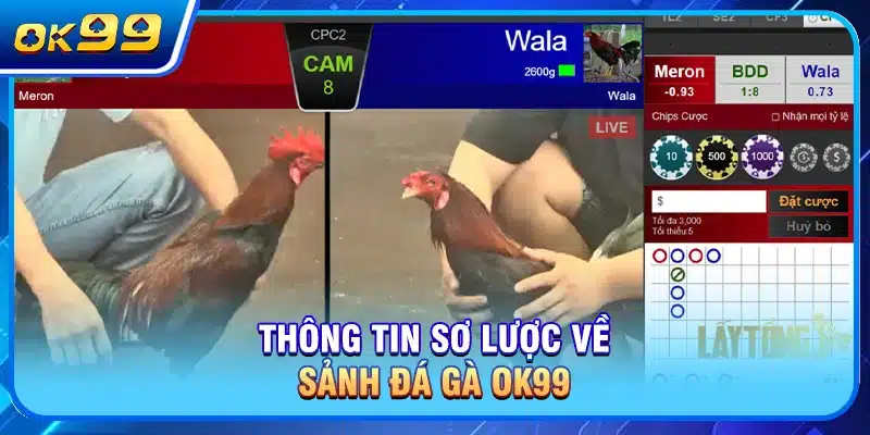 Thông tin sơ lược về sảnh Đá Gà OK99