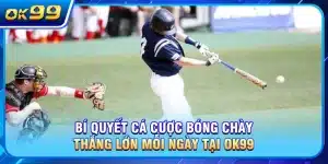 Cá Cược Bóng Chày